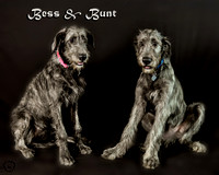 Bess & Bunt (1)