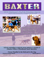 Baxter Ad final